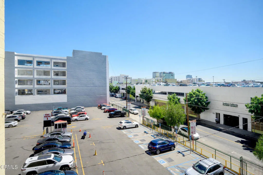 315 E 8th Street 301, Los Angeles, California 90014 home-pic-29